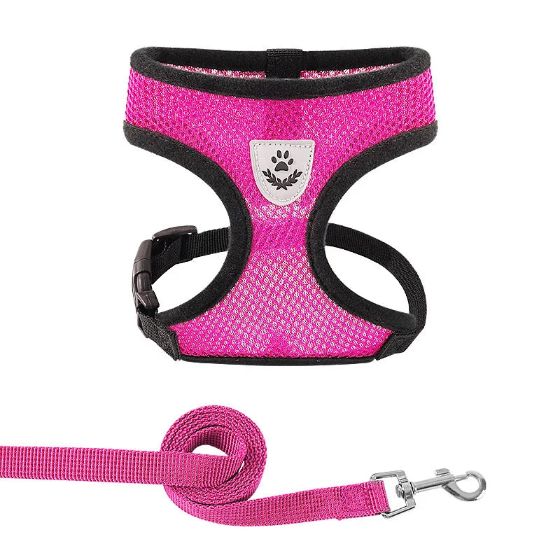 Breathable Summer Mesh Harness & Leash for Small Dogs & Cats – Reflective