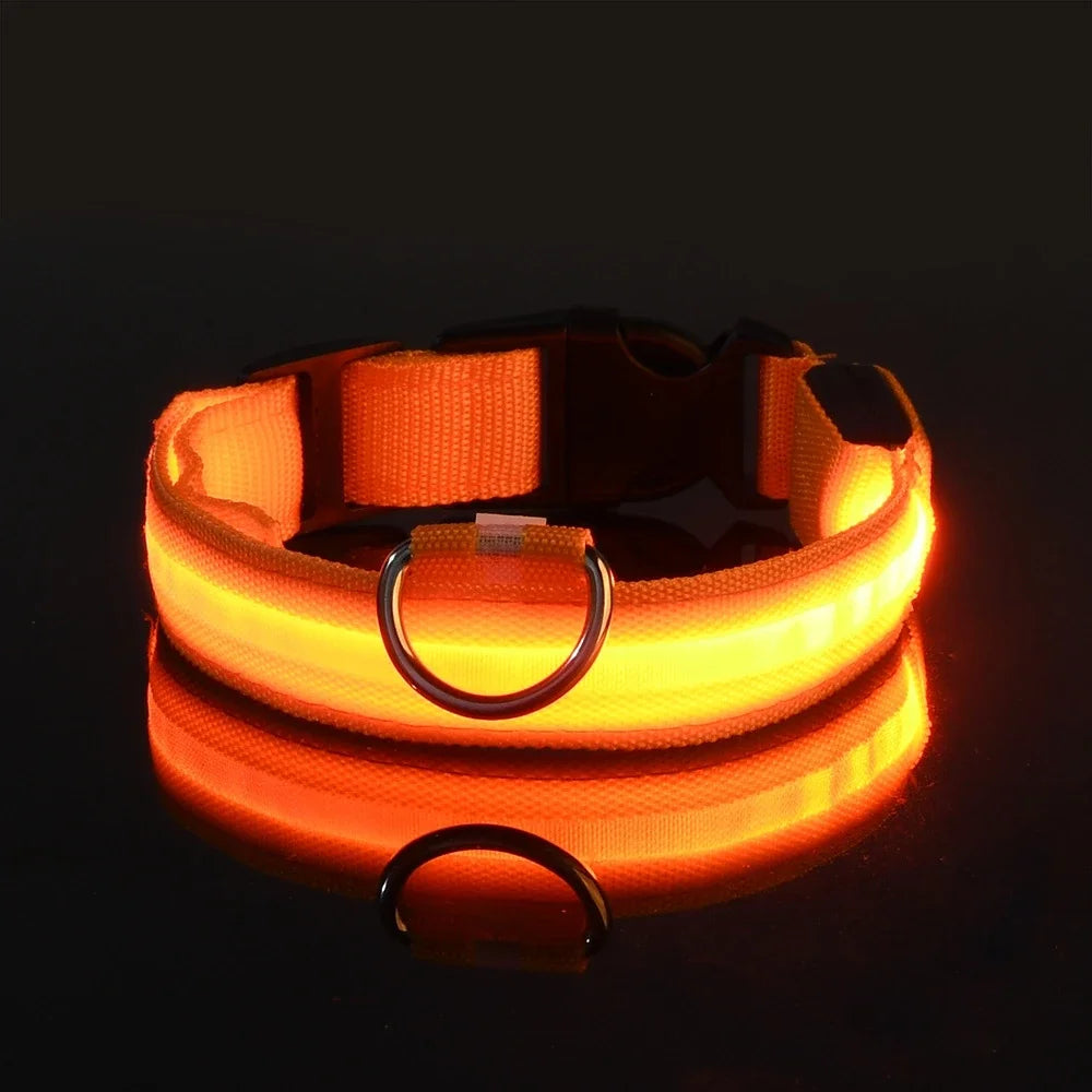 GlowPup™ LED Safety Collar