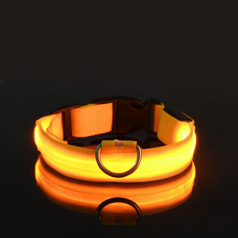GlowPup™ LED Safety Collar