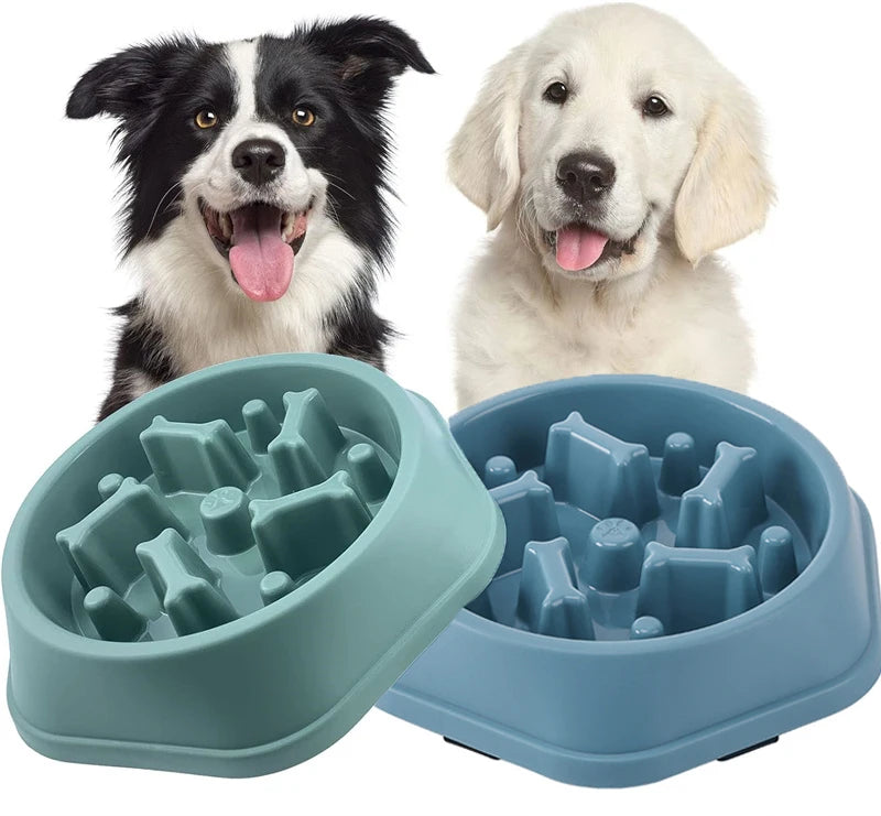 SlowFeast™ Anti-Choke Pet Bowl