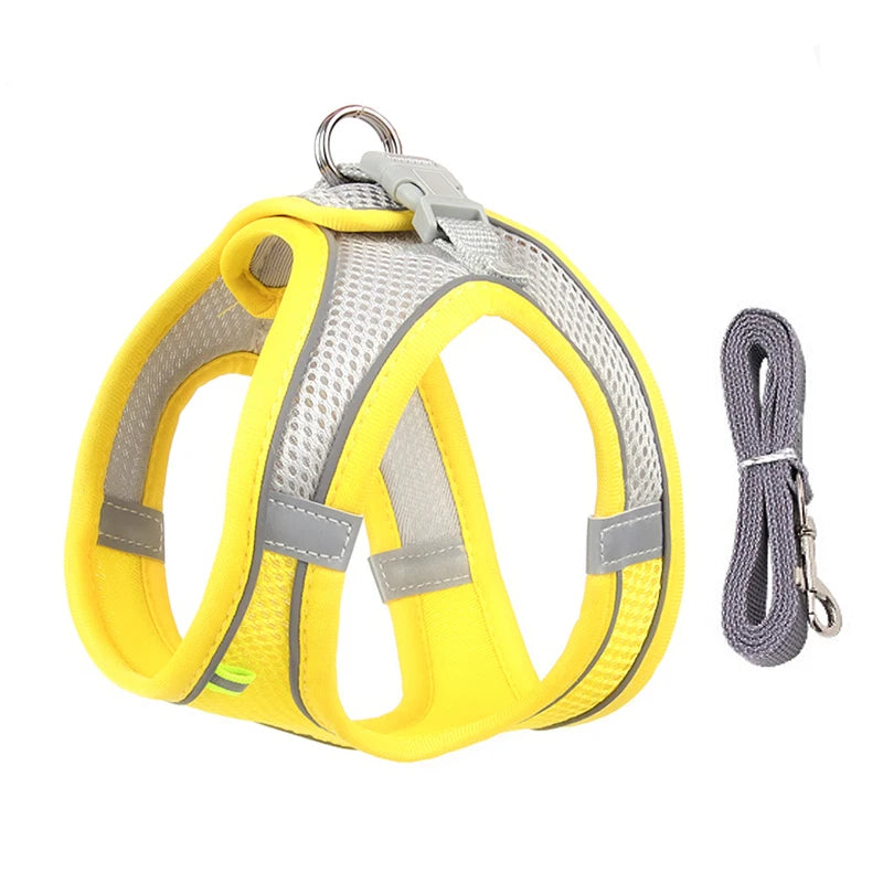 Adjustable Dog Harness & Leash Set for Small Dogs – Puppy & Cat Vest