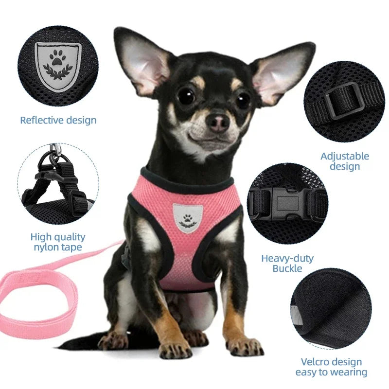 Breathable Summer Mesh Harness & Leash for Small Dogs & Cats – Reflective