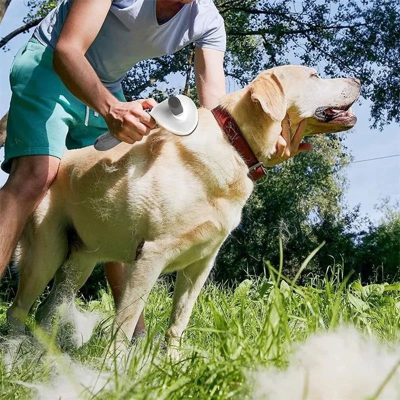 FurEase Self-Cleaning Pet Brush