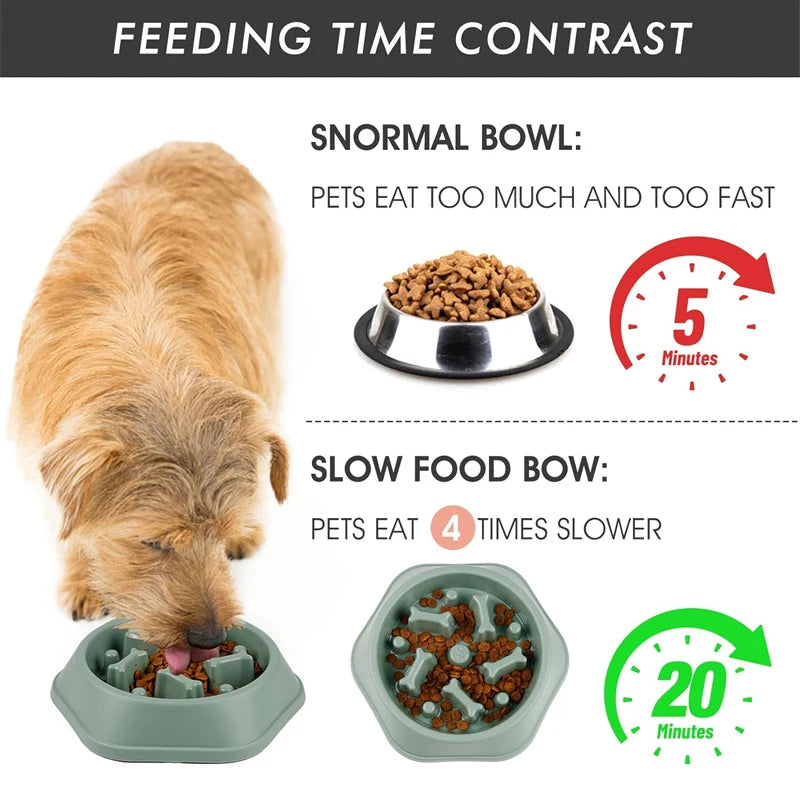 SlowFeast™ Anti-Choke Pet Bowl