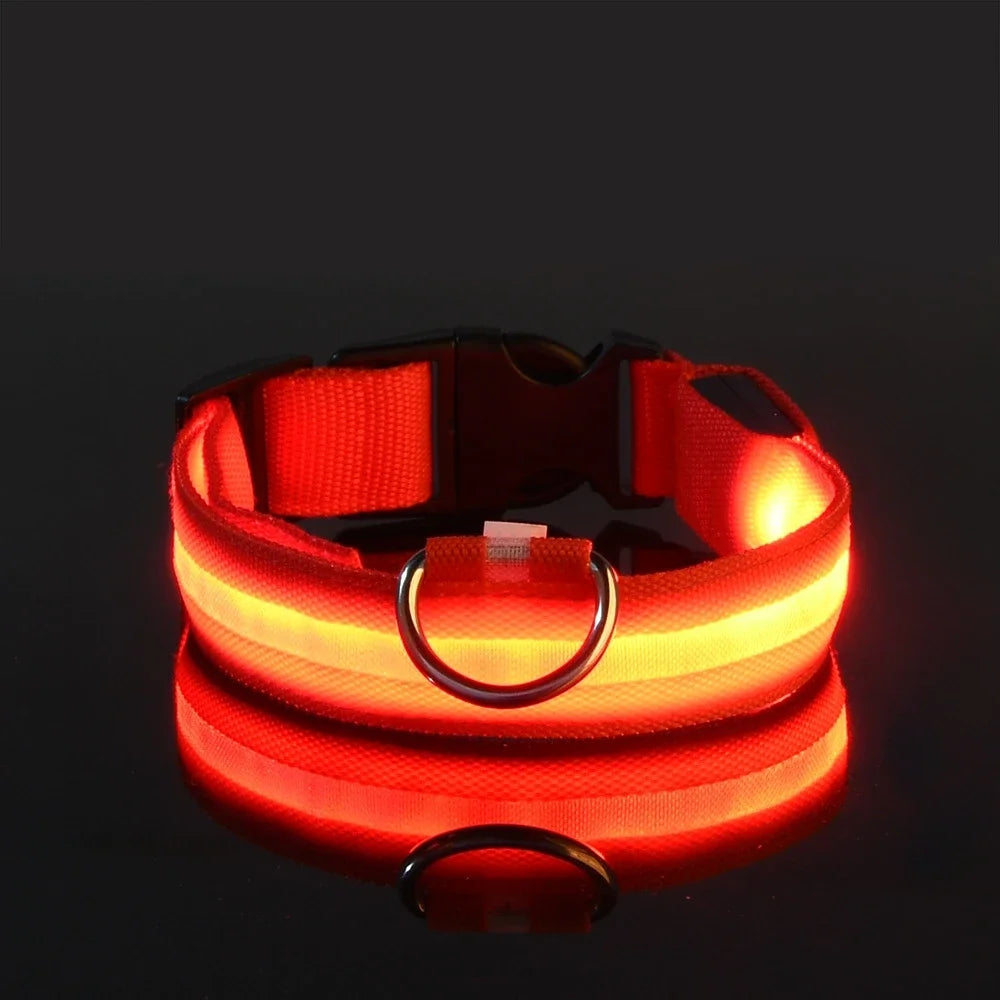 GlowPup™ LED Safety Collar
