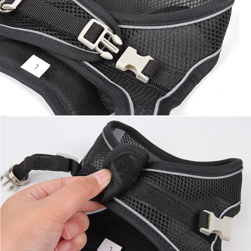 Adjustable Dog Harness & Leash Set for Small Dogs – Puppy & Cat Vest