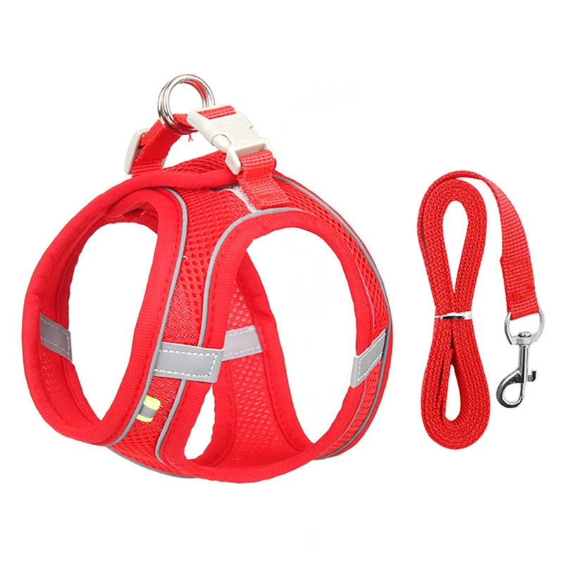 Adjustable Dog Harness & Leash Set for Small Dogs – Puppy & Cat Vest