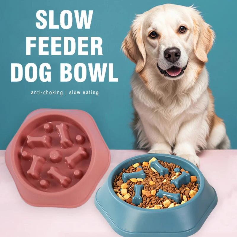 SlowFeast™ Anti-Choke Pet Bowl