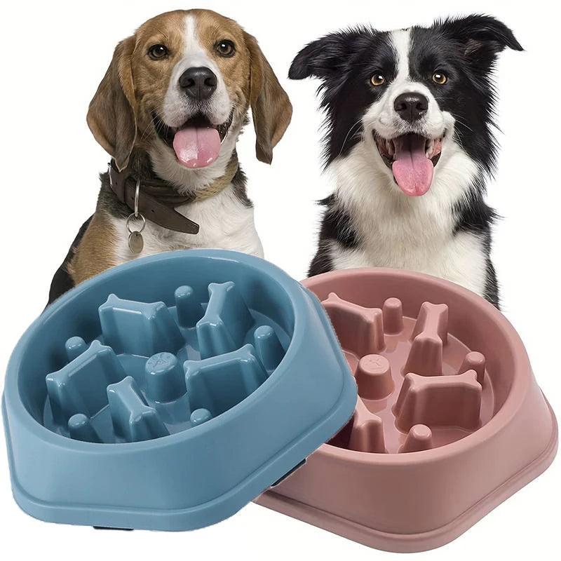 SlowFeast™ Anti-Choke Pet Bowl