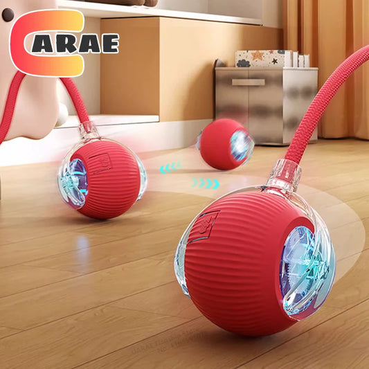 WhirlTail Smart Ball