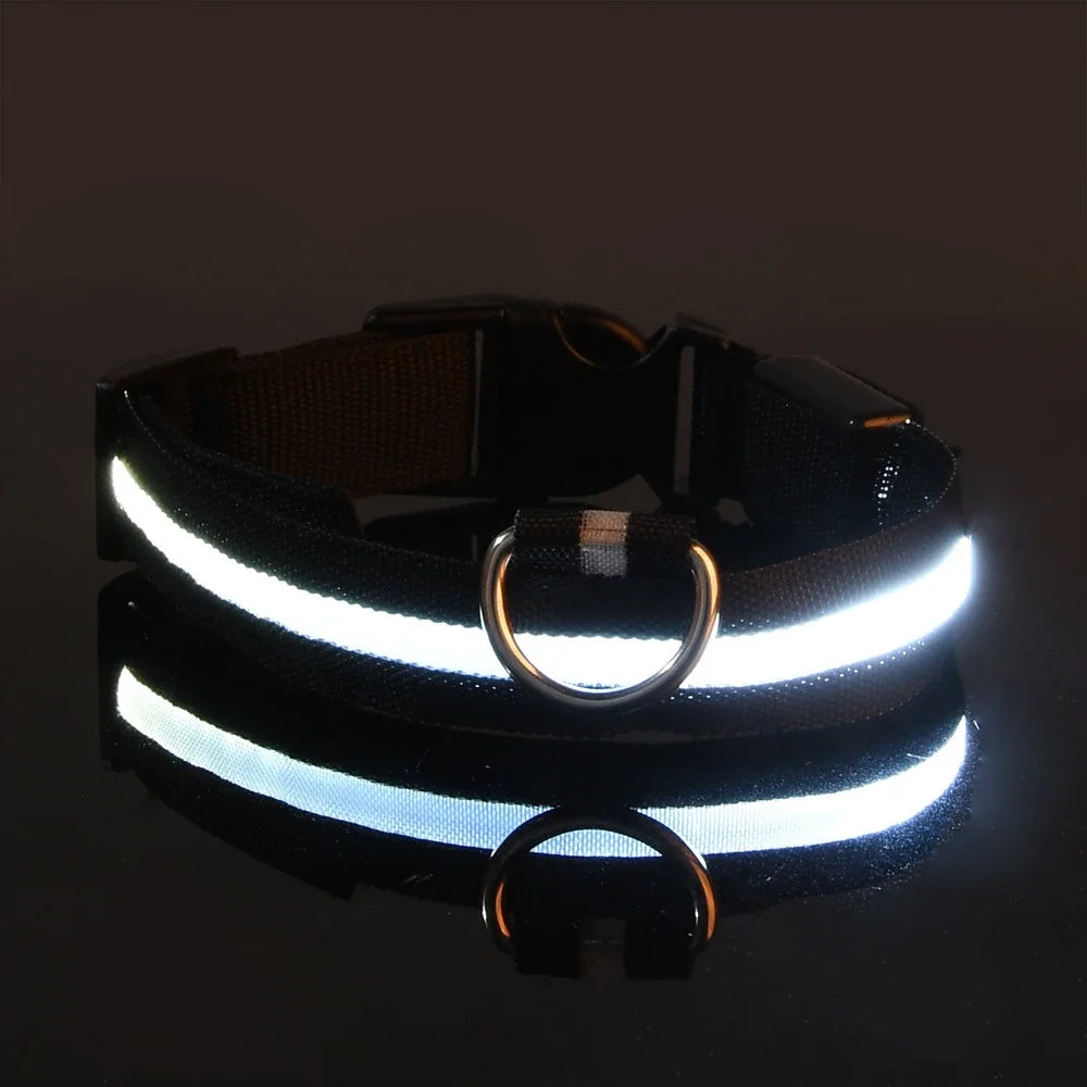 GlowPup™ LED Safety Collar
