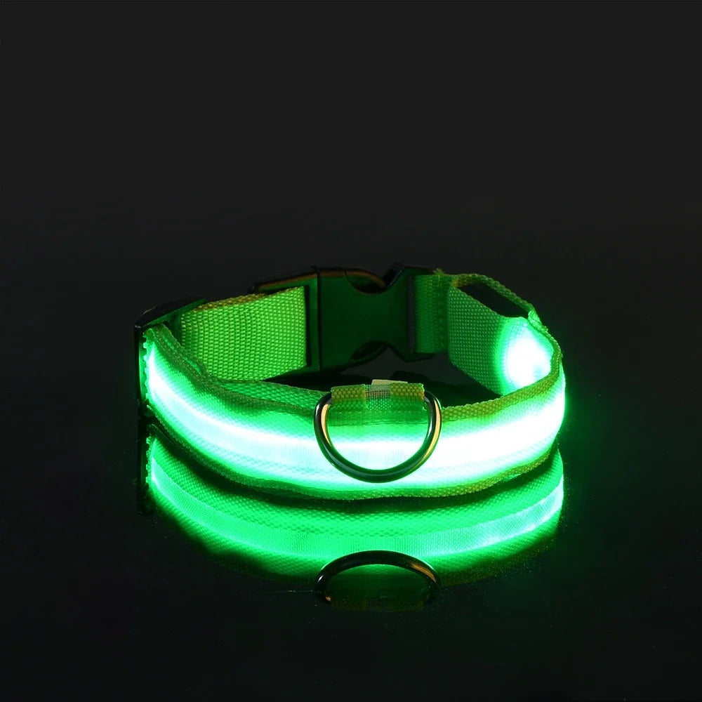 GlowPup™ LED Safety Collar