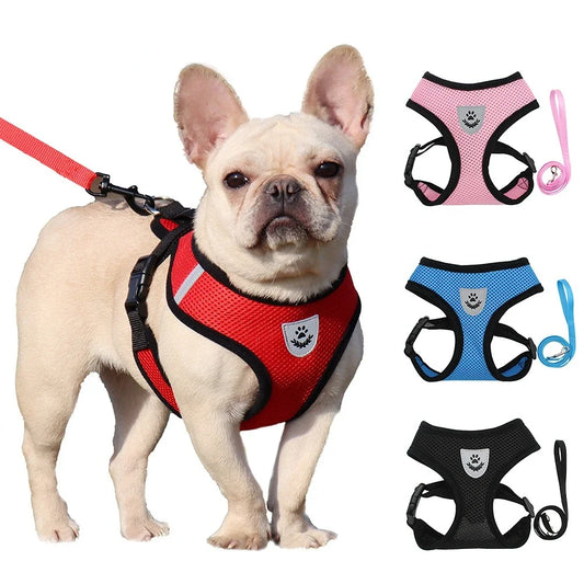 Breathable Summer Mesh Harness & Leash for Small Dogs & Cats – Reflective