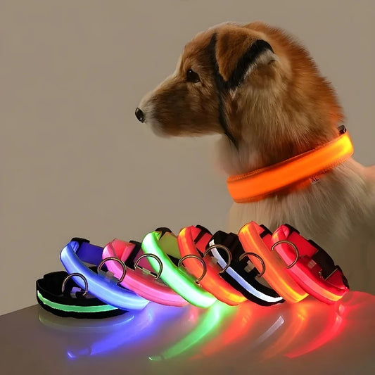 GlowPup™ LED Safety Collar