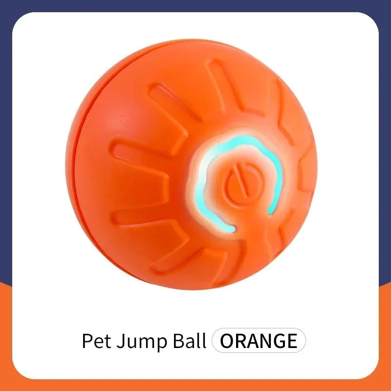 Pettoy Smart Ball