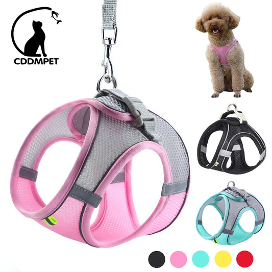 Adjustable Dog Harness & Leash Set for Small Dogs – Puppy & Cat Vest