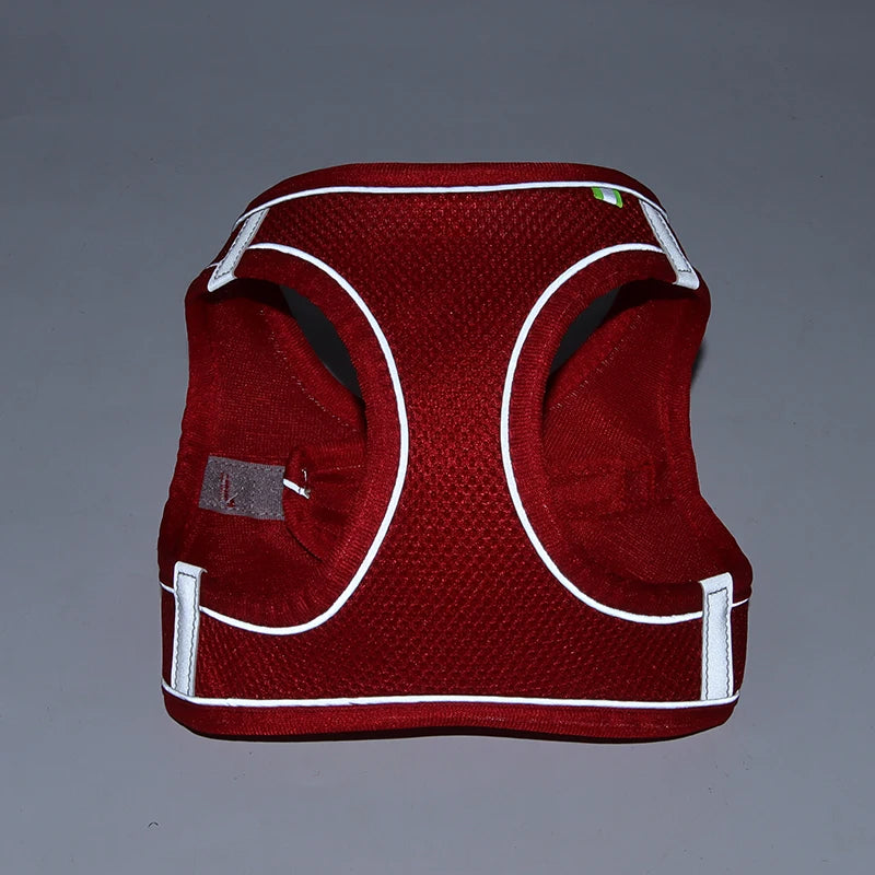 Adjustable Dog Harness & Leash Set for Small Dogs – Puppy & Cat Vest