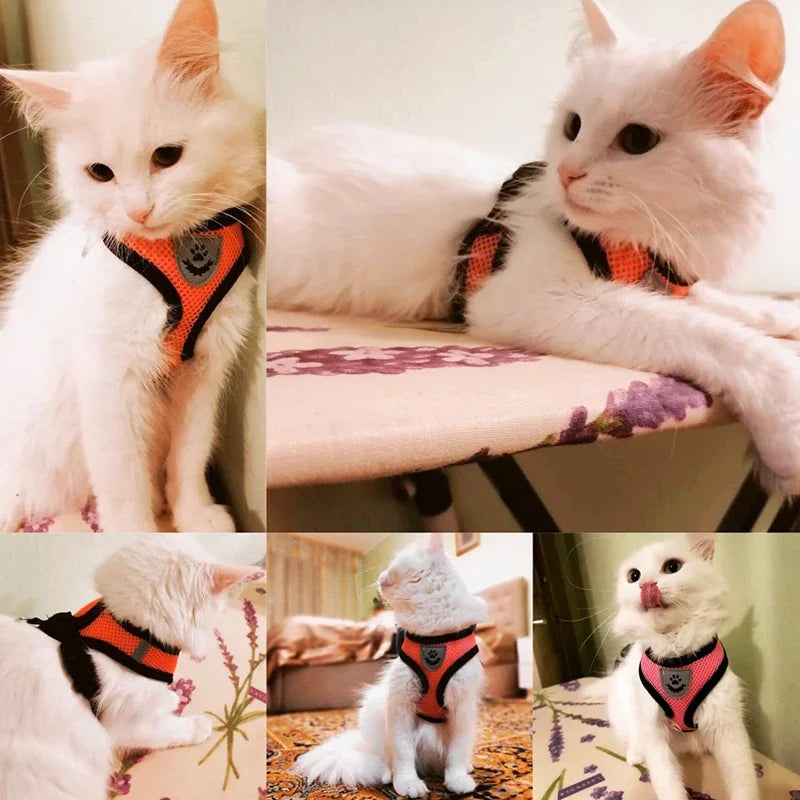 Breathable Summer Mesh Harness & Leash for Small Dogs & Cats – Reflective