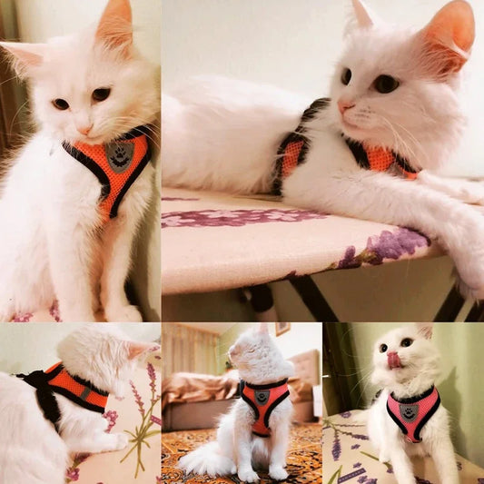 Breathable Summer Mesh Harness & Leash for Small Dogs & Cats – Reflective