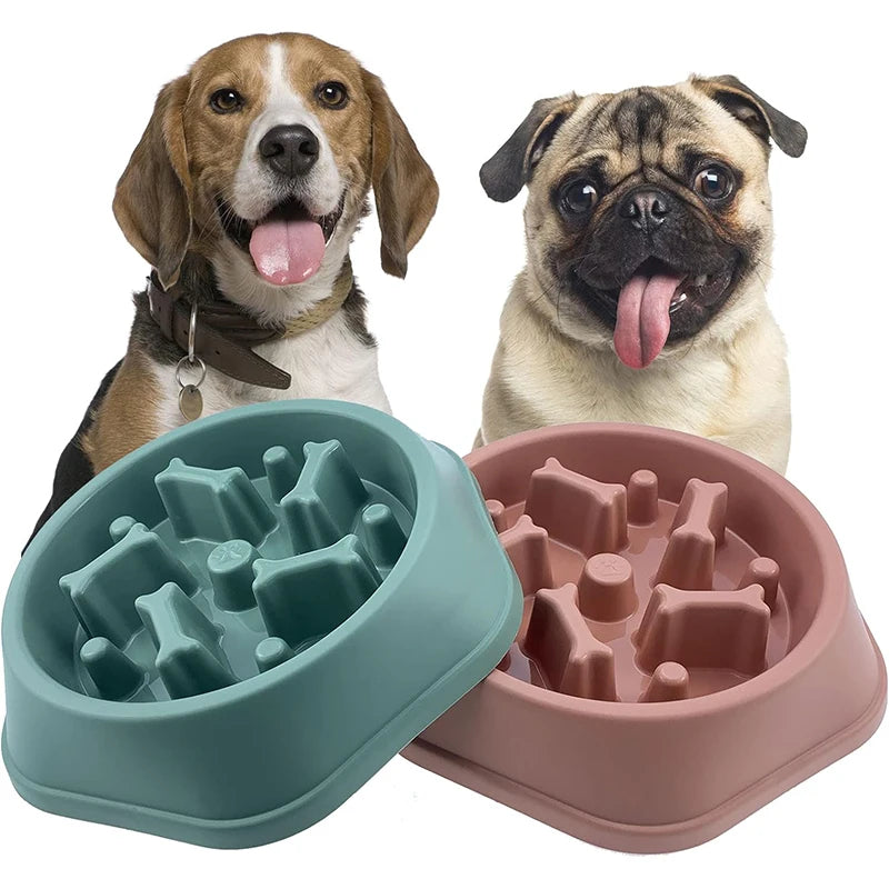 SlowFeast™ Anti-Choke Pet Bowl
